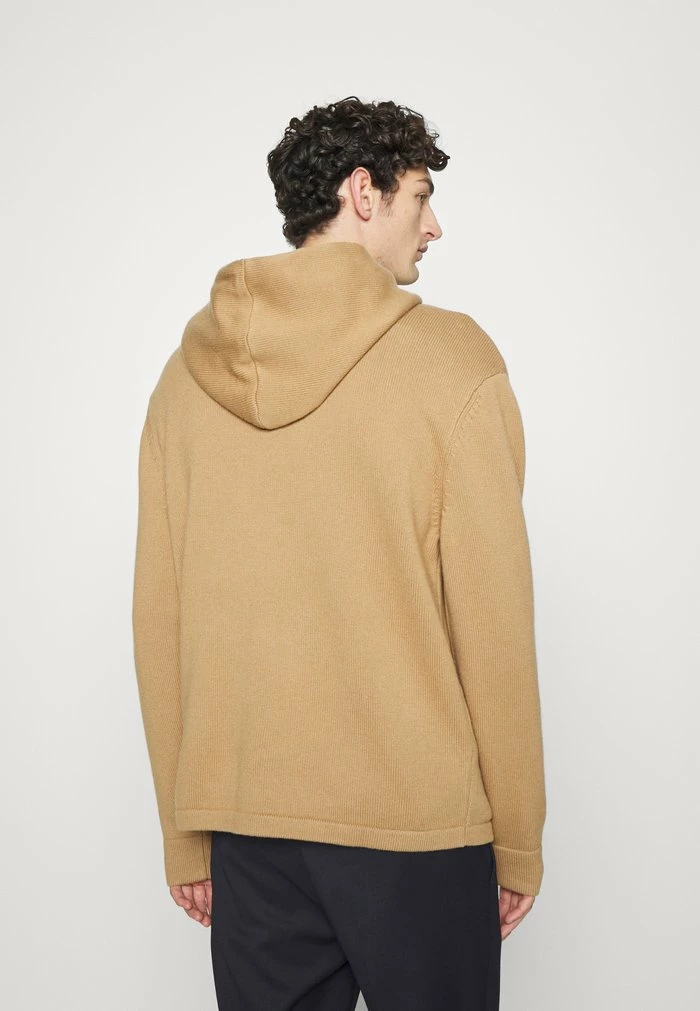 TIMON HOODIE - Jumper - tiger brown